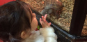 Anthony's daughter checking out a Russian Tortoise