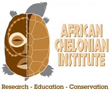 African Chelonian Institute, a partner of theTurtleRoom