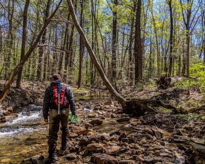 Andy Weber searches for wood turtles in a stream