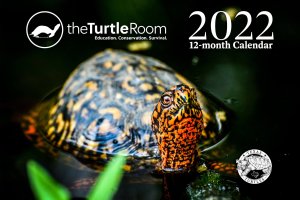 2022 theTurtleRoom Calendar Cover